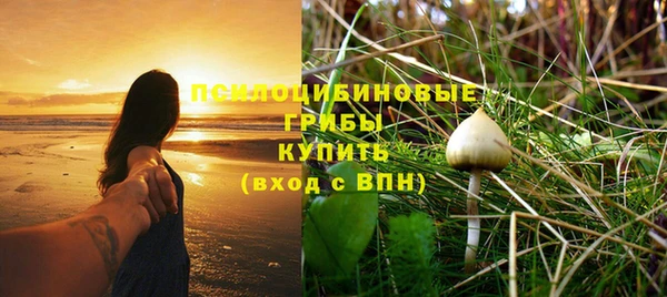 гидропоника Куровское
