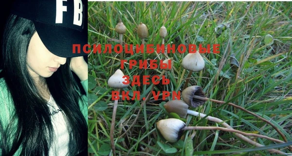 кокаин колумбия Горняк